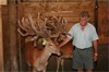 Mega Peel in the sheds - very quiet young stag