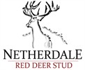 Netherdale 37th Annual Elite Red Deer Sale