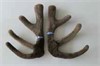 Lot 2 -3 Yrs Even Stevens / T-Rex