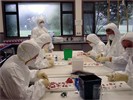 DRL - Otago University
