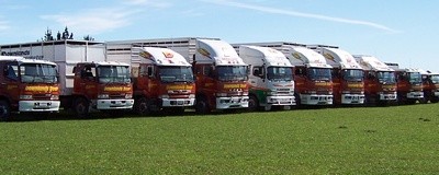 TradeDeer Service Provider Image 1
