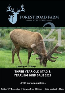 Friday 10th December 2021 1-30pm 3Y Velvet Sire Sale