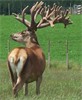 Dec 2004
