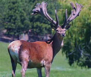 Bradford at 5 Years