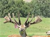 Lot 6