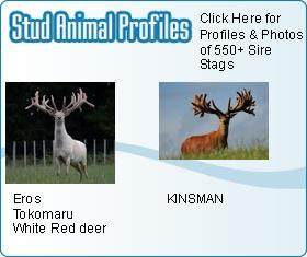 Aminal Profile List